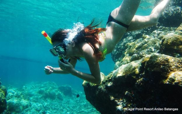 Anilao Scuba Diving Experience With Lunch